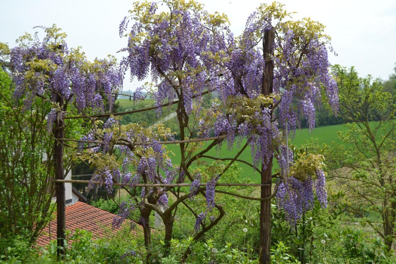 Вилла Casa Dei Ciliegi Castell'Alfero Экстерьер фото